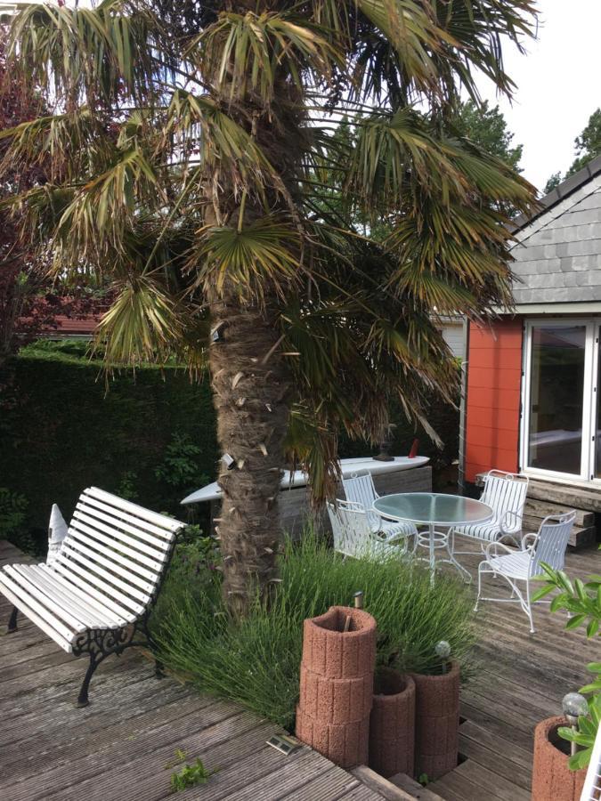 Einzigartiges Haus Am Isselmeer Wervershoof Eksteriør billede